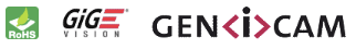 10GbE logo